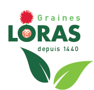 Graines Loras